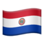 :flag_py: