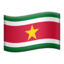:flag_sr:
