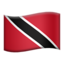 :flag_tt: