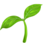 :seedling: