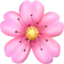 :cherry_blossom: