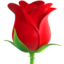 :rose: