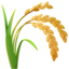 :ear_of_rice: