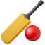 :cricket_game:
