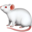 :mouse2:
