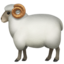 :ram: