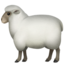 :sheep: