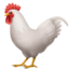 :rooster:
