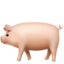 :pig2: