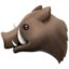 :boar: