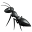 :ant: