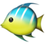 :tropical_fish: