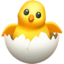 :hatching_chick: