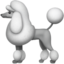 :poodle:
