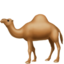 :dromedary_camel: