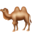 :camel:
