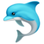 :dolphin: