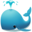 :whale: