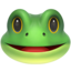 :frog: