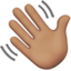 👋🏽