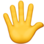 :hand_splayed: