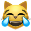 :joy_cat:
