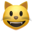 :smiley_cat: