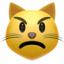 :pouting_cat: