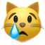 :crying_cat_face: