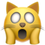 :scream_cat: