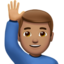 🙋🏽♂️
