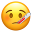 :thermometer_face: