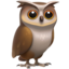 :owl:
