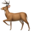:deer: