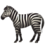 :zebra: