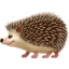 :hedgehog: