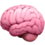 :brain:
