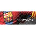 F.C. Barcelona