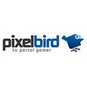 Pixel Bird