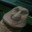 Nestor_Cs