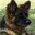 EibacH-
