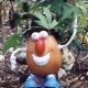 potatoeh