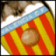 Banega