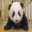chopthepanda