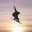 toadstool-