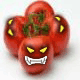 alricotomate