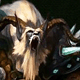 ArkRaven