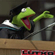 Lutx1