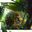 Kiwith