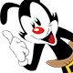 Zev